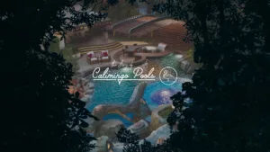 Video of the beautiful pool designs of Calimingo Pool builders